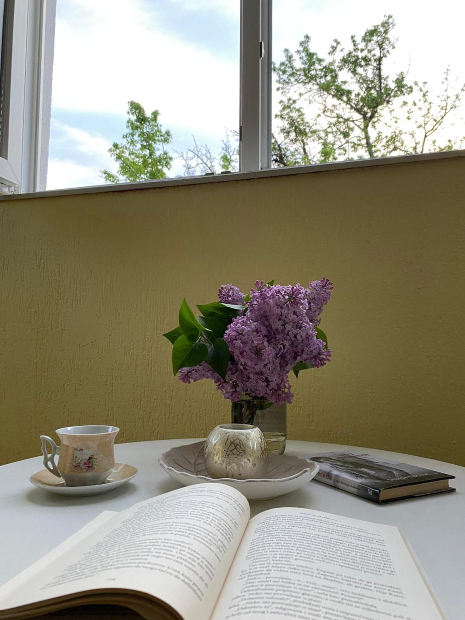 Apartman Sara Plužine Eksteriør billede